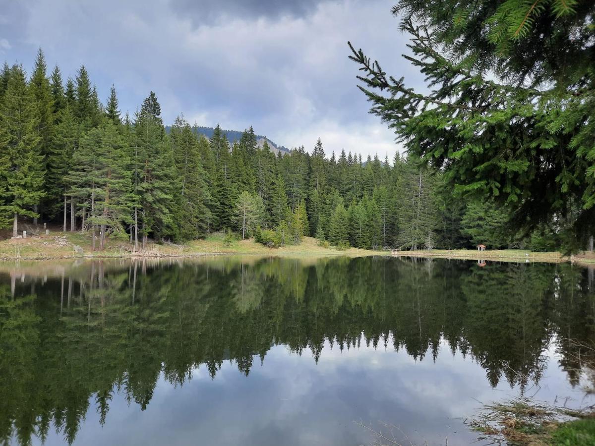 Утро Без Аларма, Смолянски Езера. Alarm Free Morning Smolyan Lakes 외부 사진